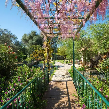 Marifei Villa Kato Korakiana
